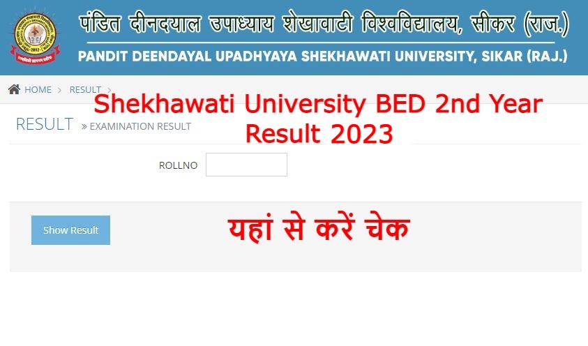 Shekhawati University BED 2nd Year Result 2023
