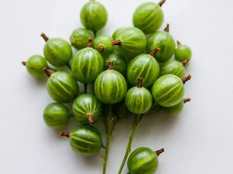 Gooseberry