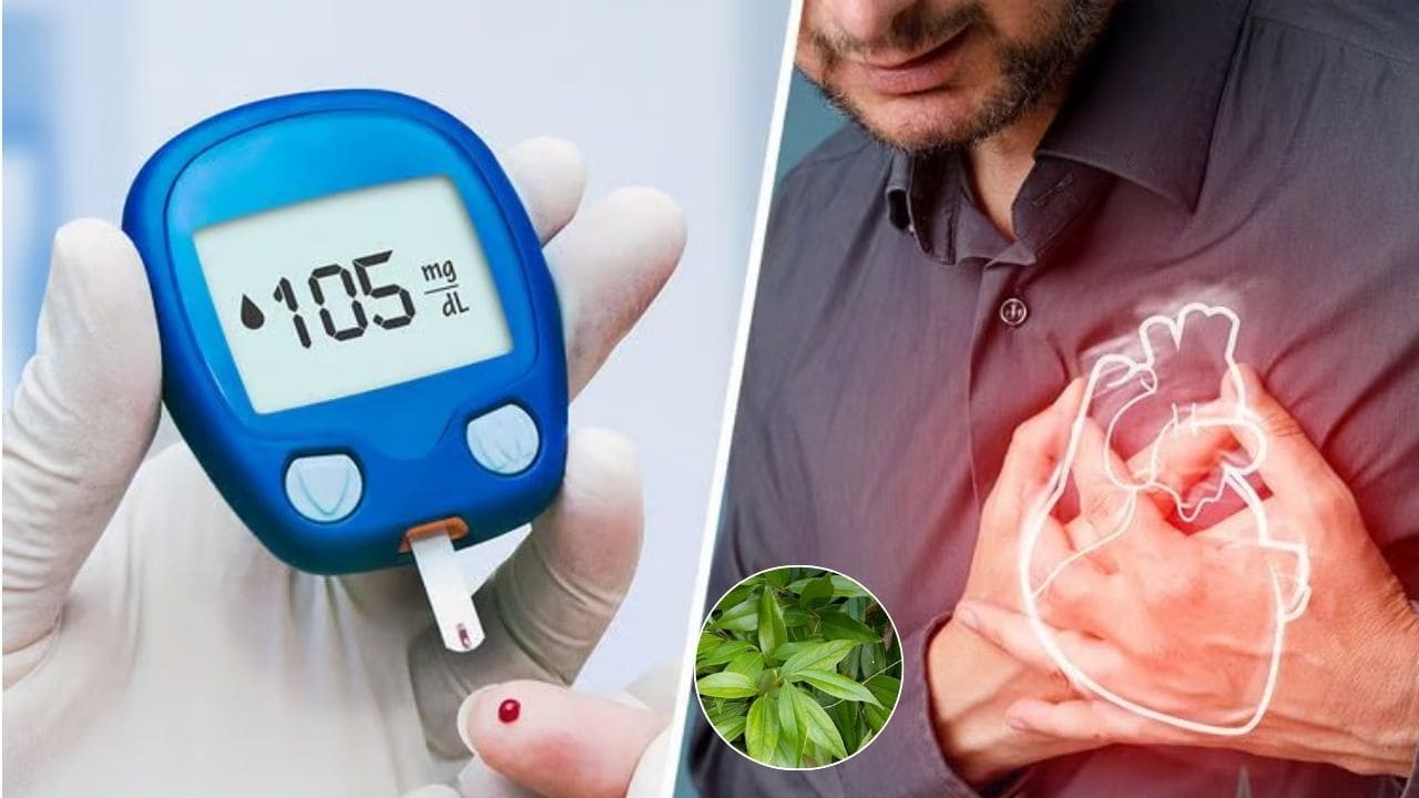 शुगर लेवल बढ़ने से परेशान हैं? घर की रसोई में पड़ी इस चीज़ को रोजाना डाइट में शामिल करने से शुगर लेवल की होगी छुट्टी