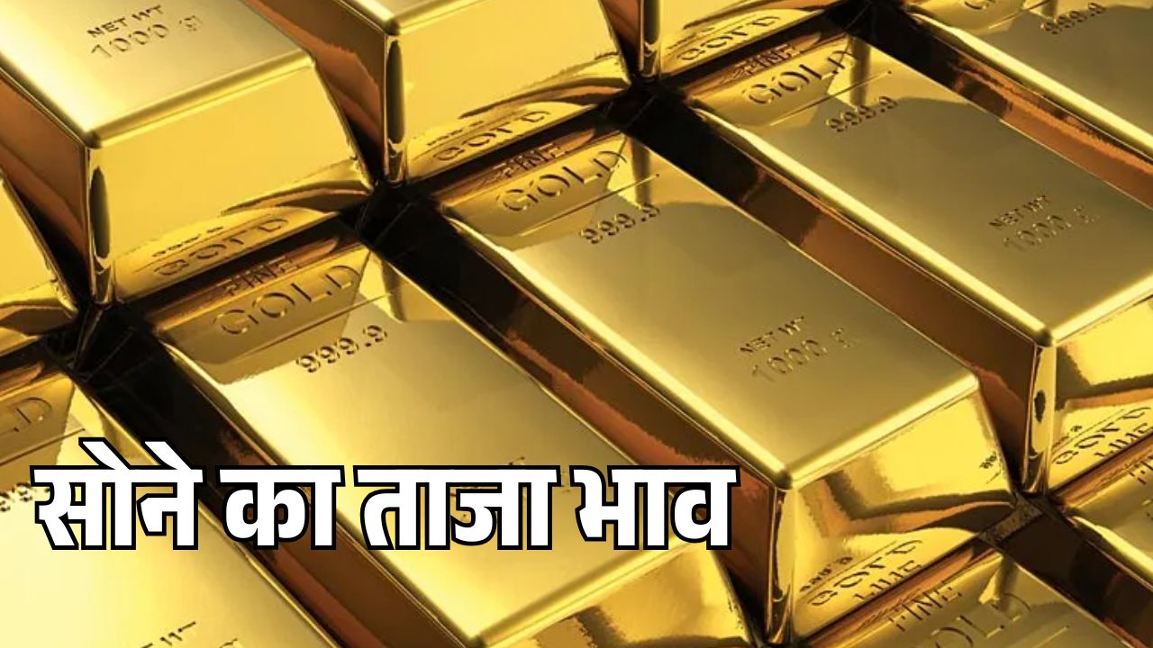 Gold Rate Today: सोने की कीमतों में हल्की गिरावट, 14 अप्रैल को भारत के प्रमुख शहरों में ताजा रेट